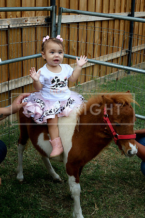 IMG-1054