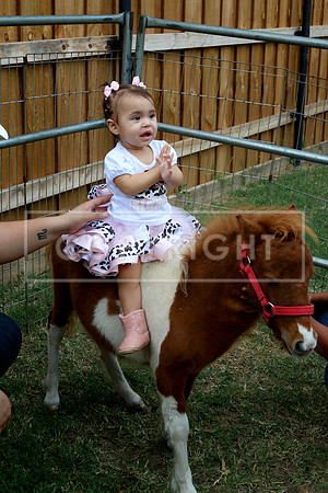IMG-1053
